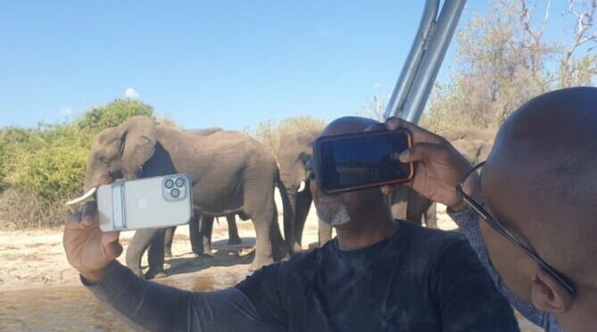Safari Game Drive in Zambezi National Park