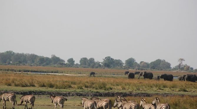 5-DAY Victoria Falls and Chobe National Park