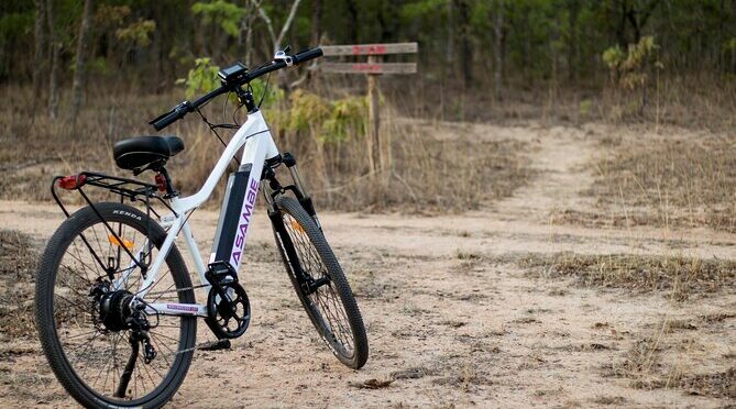 Mukuvisi Woodlands Afternoon Electric Bicycle Tour and Sunset Picnic