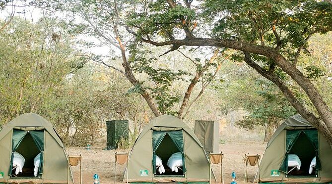 3-Day Chobe National Park Camping Safari from Victoria Falls