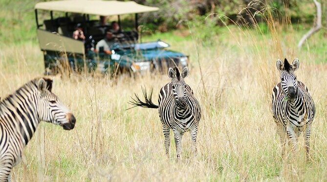 Hwange Day Trip