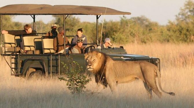 Hwange (Safari) Day Trip from Victoria Falls