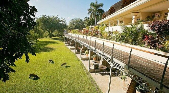 3 Days / 2 Nights Ilala Lodge Package