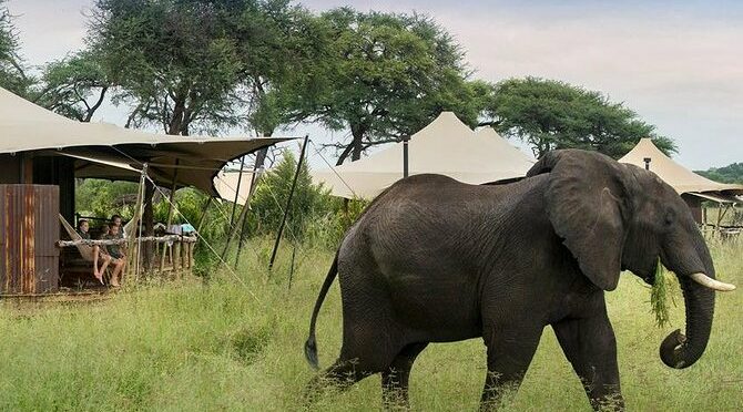 Hwange National Park Safari from Victoria Falls (2 Nights)