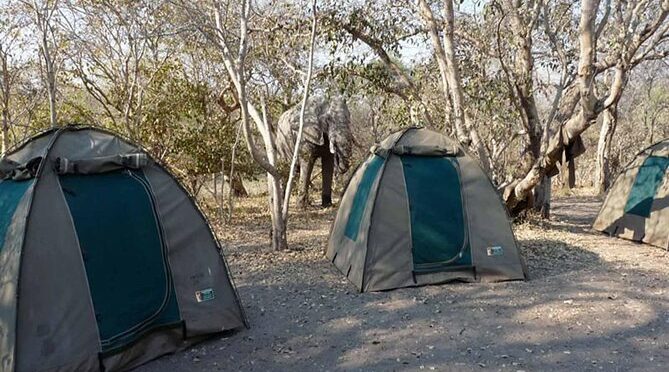 Chobe National Park Camping Safari From Victoria Falls (2 Days and 2 Nights)