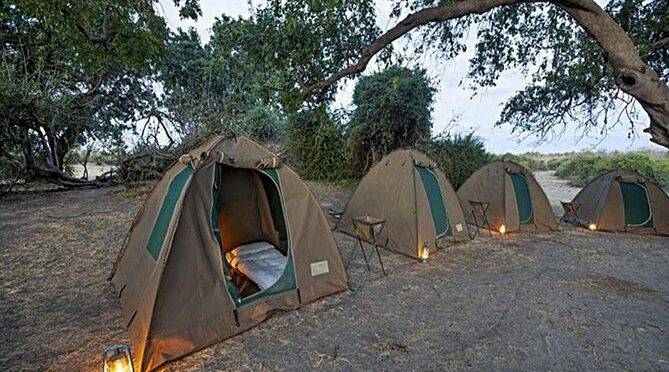 Chobe National Park Camping Safari From Victoria Falls (2 Days and 1 Night)