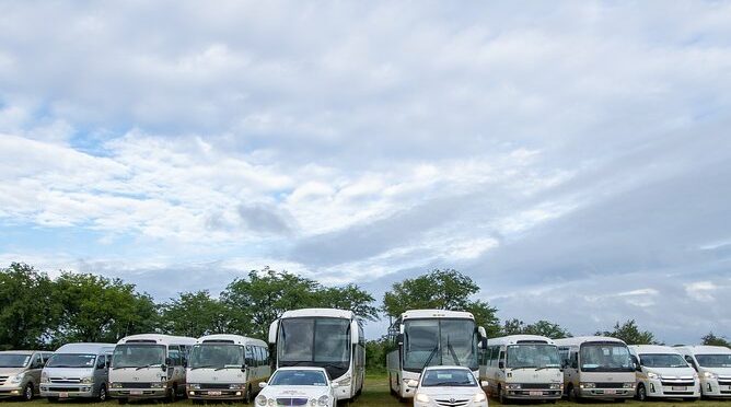 Hwange Transfers