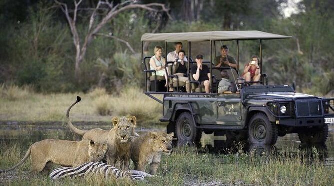 Chobe Extended Day Trip from Victoria Falls – Zimbabwe