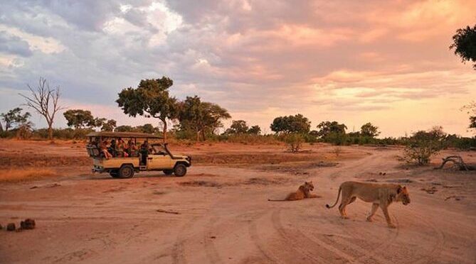 Early Morning Half-Day Chobe Safari