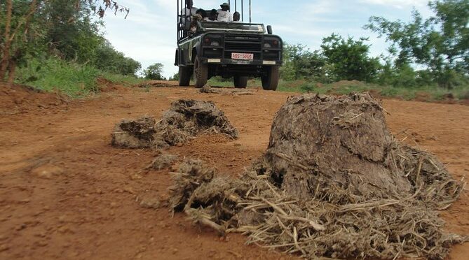 Photographic Safaris in Gonarezhou National Park, Zimbabwe.