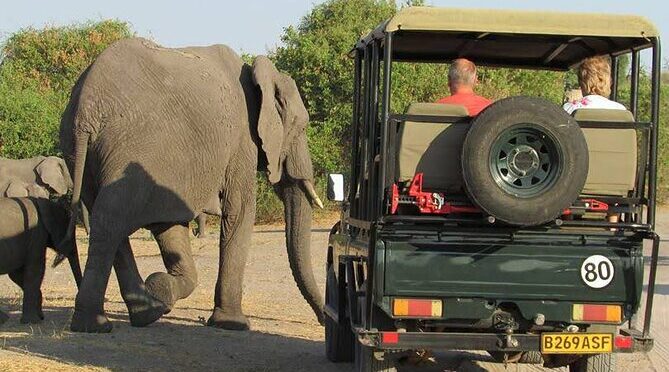 3-Day Guided Tour in Chobe Natural Park
