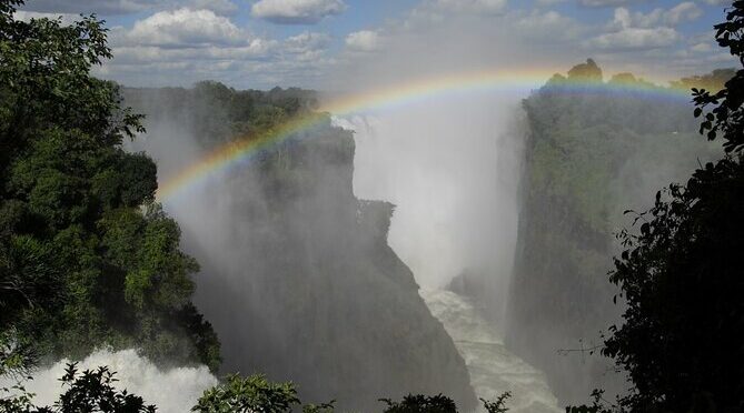 Private Guided Tour of Rain Forest Victoria Falls