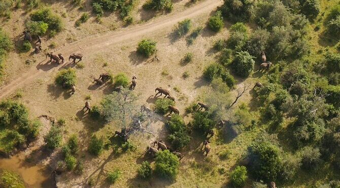 Victoria Falls Helicopter Tour