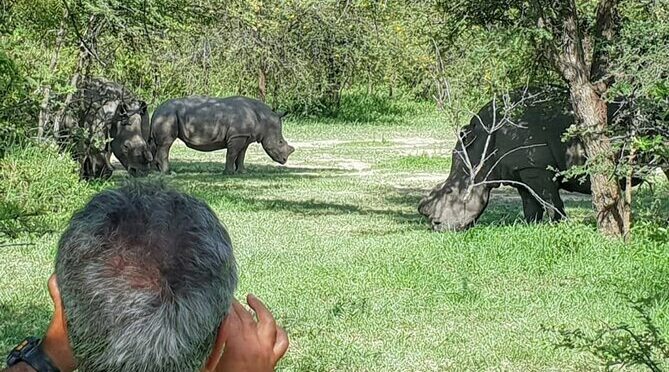 Full-Day Black Rhino Matobo Hills, Tracking and Historic sites
