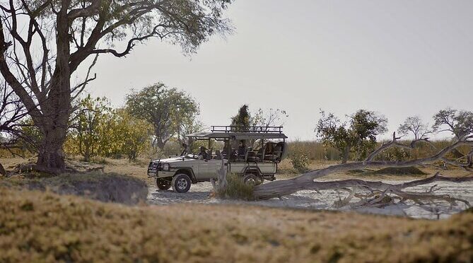 8 Day Chobe NP, Elephant Sands, Okavango Delta & Victoria Falls
